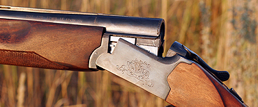 Generic Shotgun